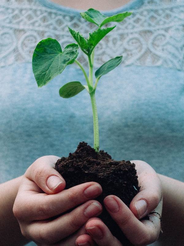 Financial Advisor Kent Town